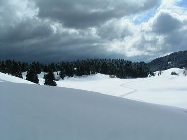 paysage-neige-contraste.jpg